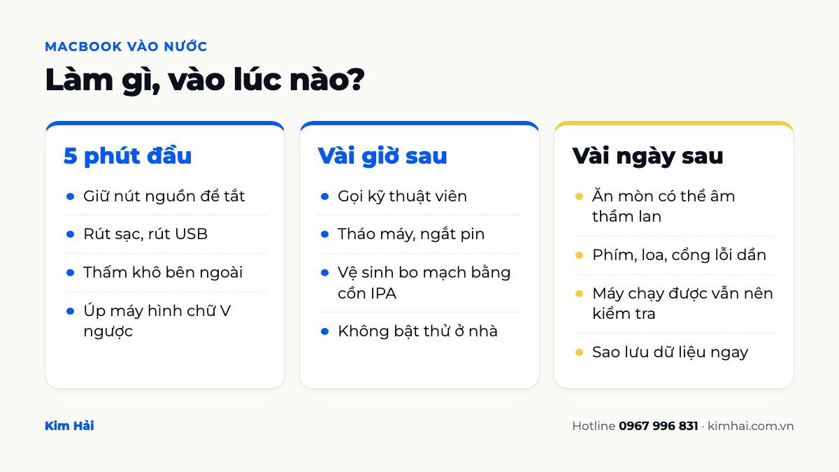 Infographic các việc cần làm khi Macbook vào nước trong 5 phút đầu, vài giờ sau và vài ngày sau